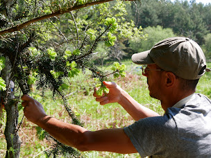 Photo n°4 de Ferme des 8 montagnes à La Bastide-de-Sérou (Ferme bio)