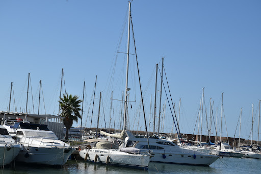 Molo Sud Marina di Pisa - Thumbnail
