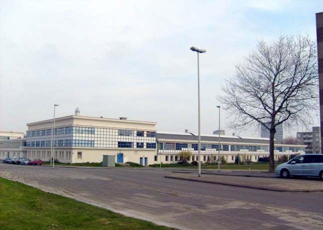 Rotsvast Rotterdam - Rotterdam