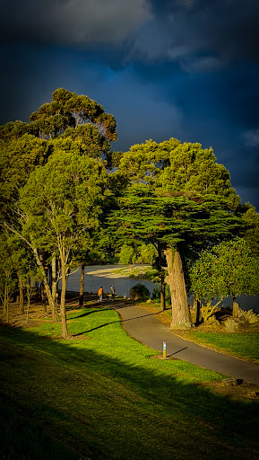 Ruamahanga Wilderness Reserve - Thumbnail