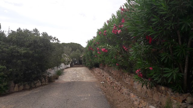 Spiaggia di Porto Istana