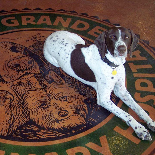 VCA Arroyo Grande Animal Hospital