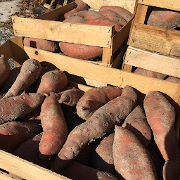 Photo n°26 de La Ferme de Cano à Séné (Ferme)