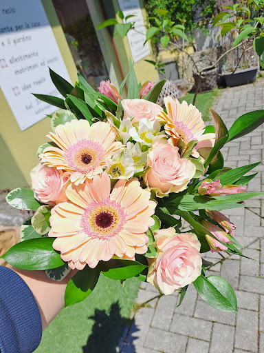 BB Fiori di Beatrice Giacomini Gallery - Italy