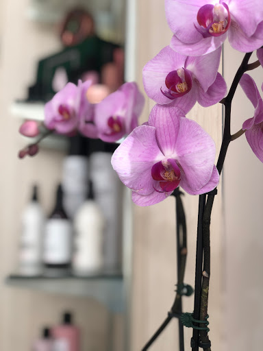 Liquid Healing Beauty Gallery - United States