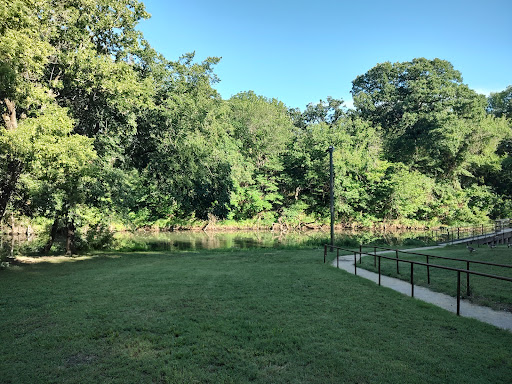 Big Oak - Visual