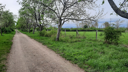 Barnimer Dörferweg - Visual