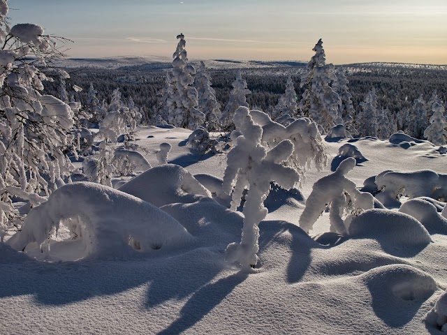 Saariselkä Ski & Sport Resort Ltd