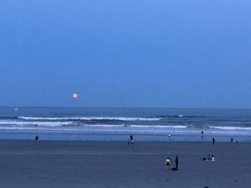 York Beach - Thumbnail