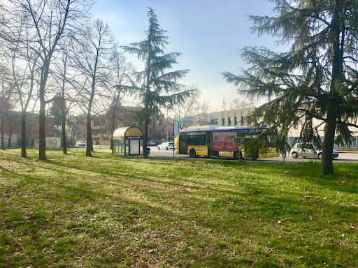 Parco Marinuzzi - Thumbnail