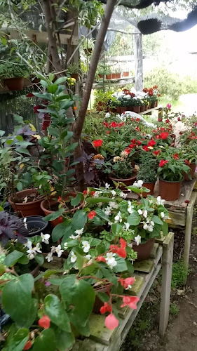 Horarios de Vivero El Bosque