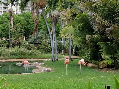 Honolulu Zoo