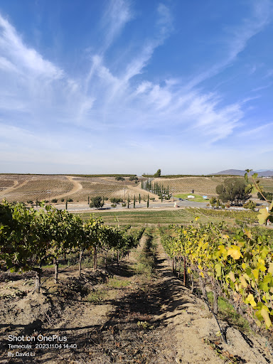 Bel Vino Winery - Thumbnail