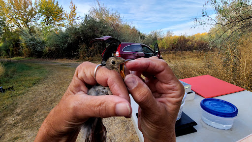 W.E. Johnson Park Trailhead - Thumbnail