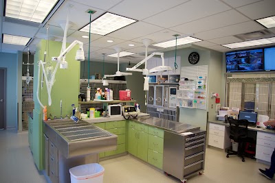 Photos of Atlanta Veterinary Specialists