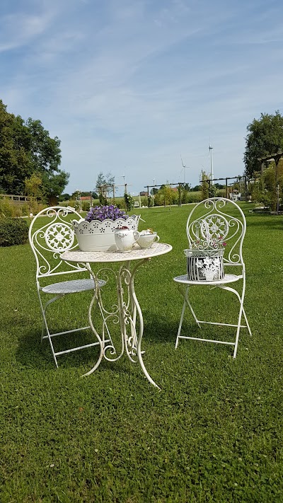 Photos of Atelier Cathrin von Cersten