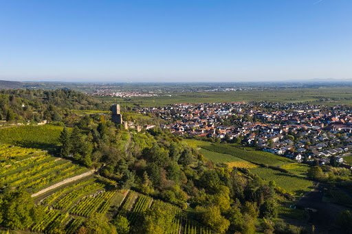 Tourist-Information Wachenheim