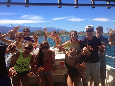 Photos of Kaikoura Fishing Tours