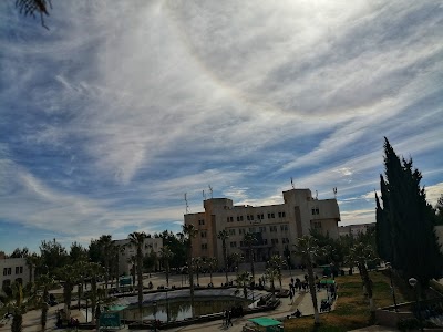 جامعة مؤتة