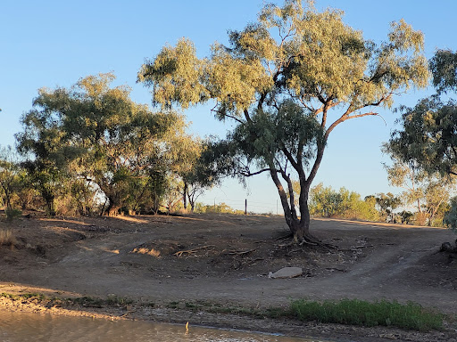 OUTBACK PIONEERS THOMSON RIVER CRUISES - Thumbnail