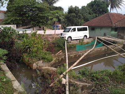 Photos of Rafa Farms