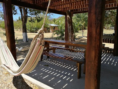 Photos of The treehouse Camping Zone