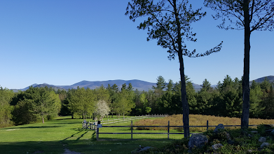 Photos of M R's Blueberry Heaven