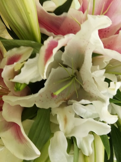 Photos of Ketut Florist & Flower Shop