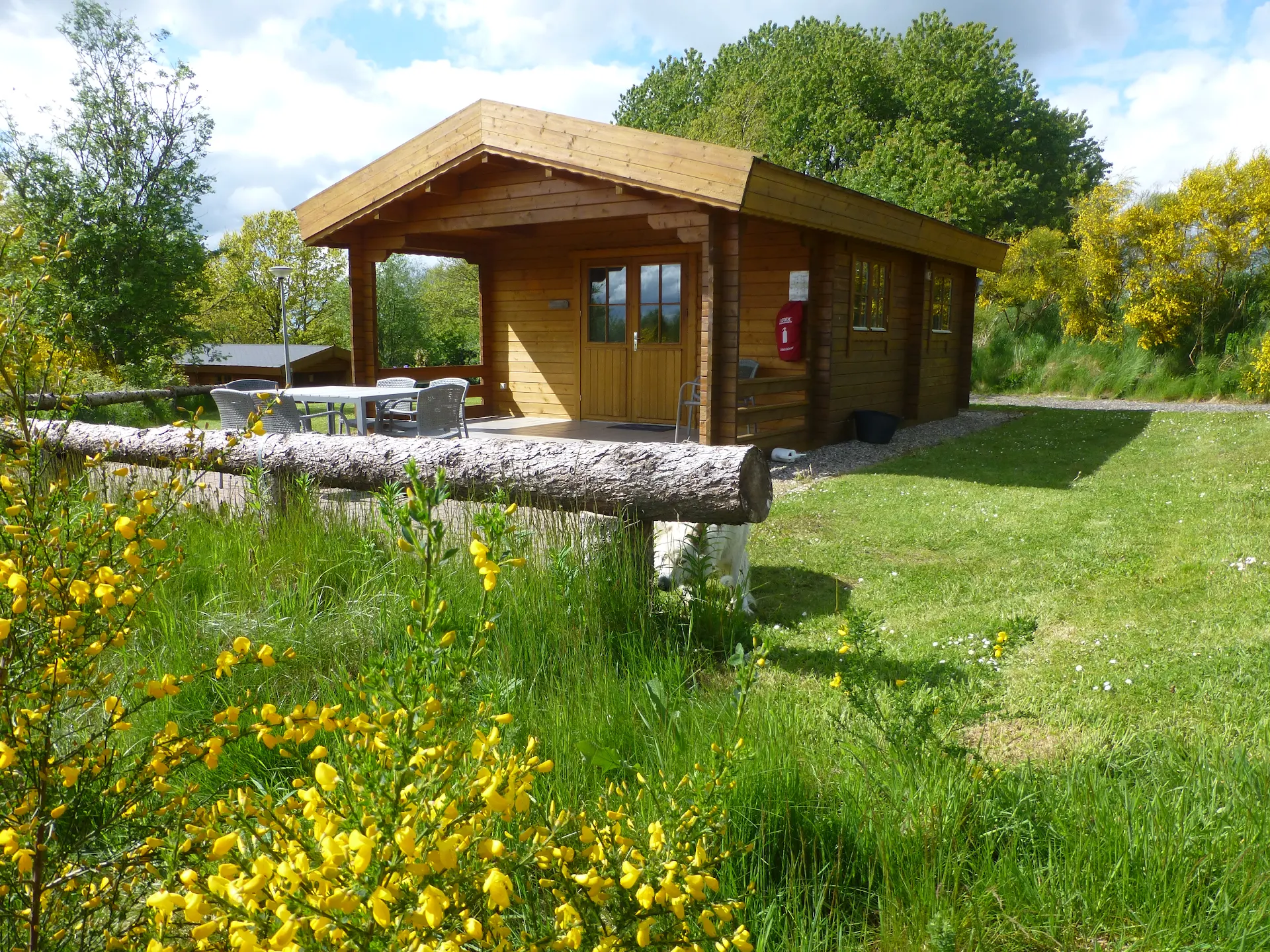 Gyvelborg Naturcamping