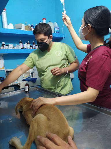Clínica Veterinaria De la Rosa
