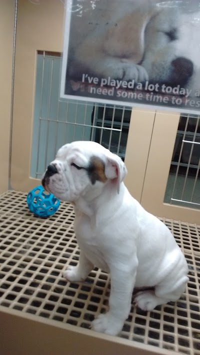 Photos of Petland Chillicothe