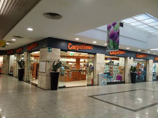 Carpanitus - Visual