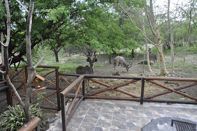 Photos of Milkwood Guest House