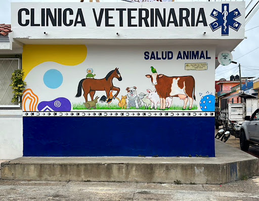 Clínica Veterinaria Salud Animal