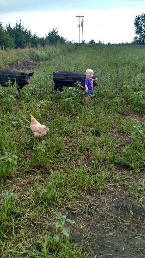 Erstwhile Farm - Visual
