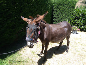 Photo n°13 de Bistrot de campagne La Dentelle à Goudet (Saladerie)