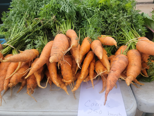 Muscatine Area Farmers Market - Thumbnail