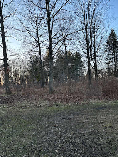 Park Mayfield - Thumbnail