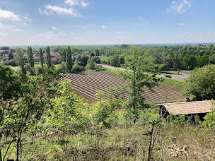 Photo n°1 de Le Potager du Dropt à Casseuil (Maraîcher)