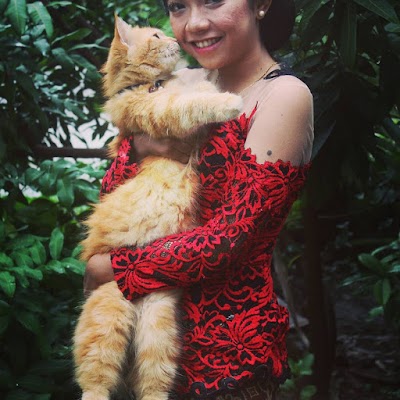 Photos of Panggung Dangdut COMPEG
