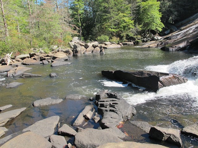 Dupont State Forest