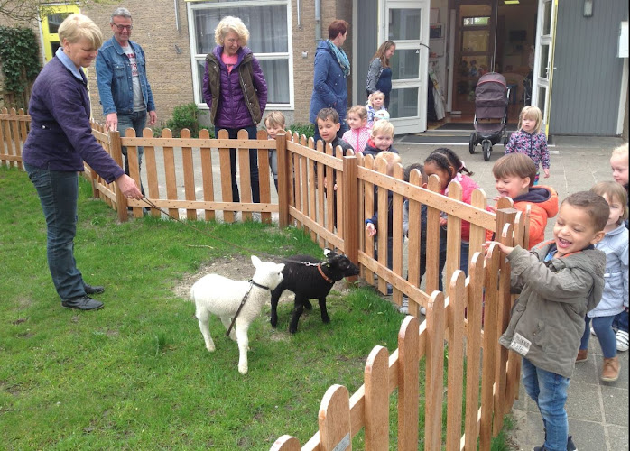 Kinderdagverblijf de Woelwaters