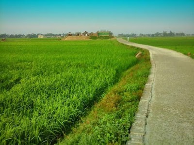 Photos of Bagdahar Market
