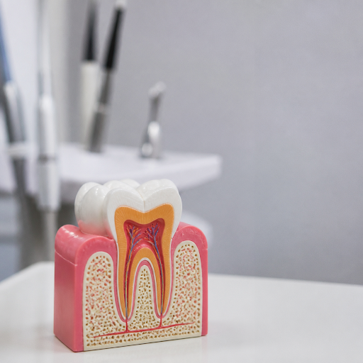 Root canal therapy can often save a badly damaged or painful tooth that you might think needs rem… post image