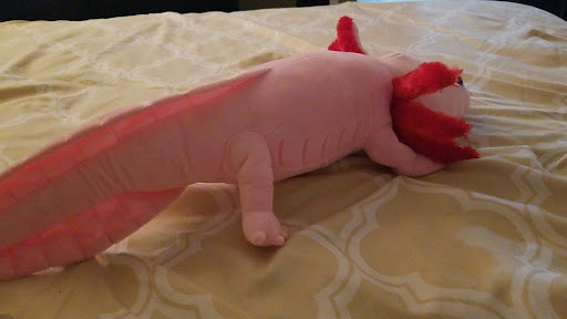 ReptilesRuS - Thumbnail