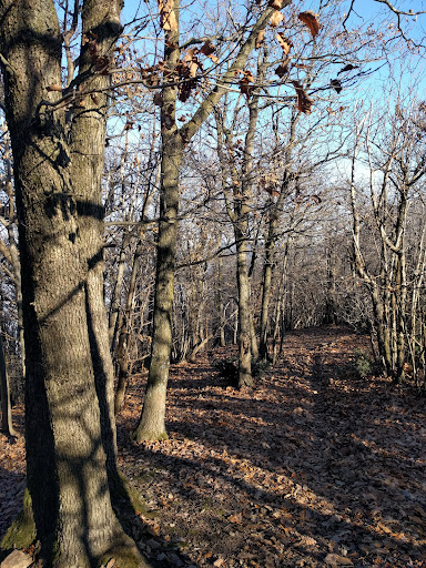 Monte Vendevolo - Visual