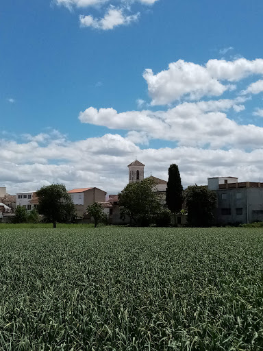 Purchil - Visual