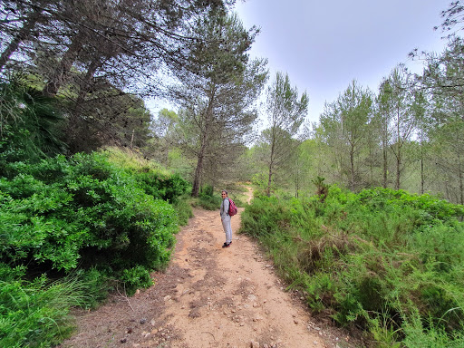 Masia La Creu Gallery - Spain