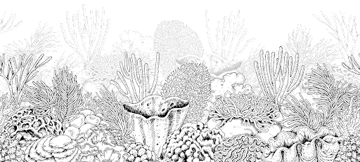 Reefdeck - Thumbnail