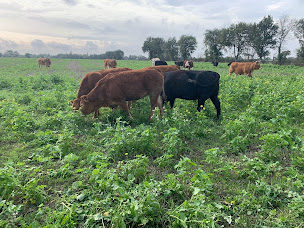 Photo n°2 de Terres de Mars à Petit-Mars (Maraîcher)